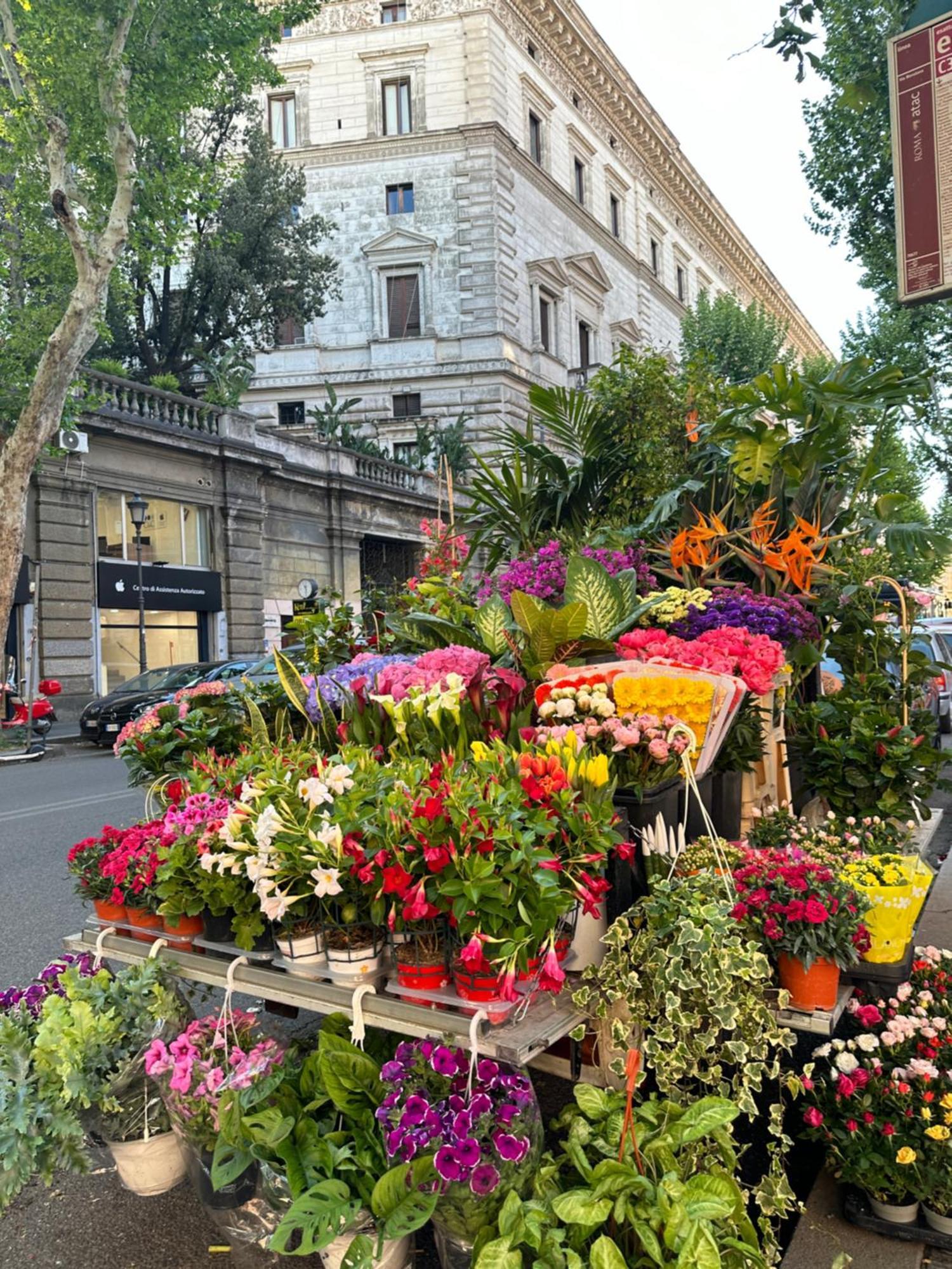 Candia Acomodação com café da manhã  Roma
